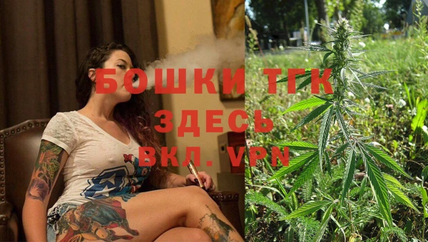 сатива Лагань